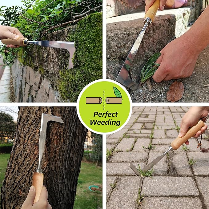 Crack Weeder, Crevice Weeding Tool with Upgrade Sharp Hook Point, L-Shaped Weed Puller Tool with Beech Wood Handle, Efficient Manual Weeder for Sidewalk, Paver, Narrow and Wall Gaps
