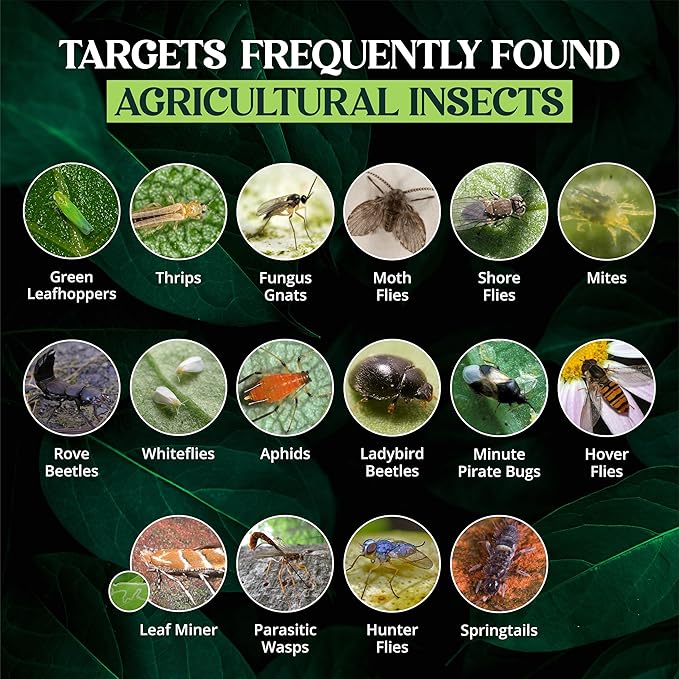 Catchmaster Dual Action Plant Labels 100 PK, Sticky Insect Trap Plant Stakes, for Live Plants Indoor Outdoor, Fruit Fly Trap, Glue Traps for Home, Farm, Garden, Hydroponics & Greenhouse, Pest Control