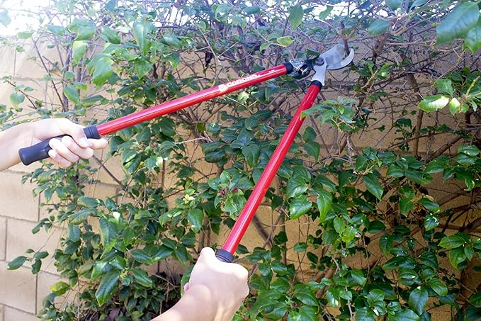 Corona Tools Lopper & Pruner Kit