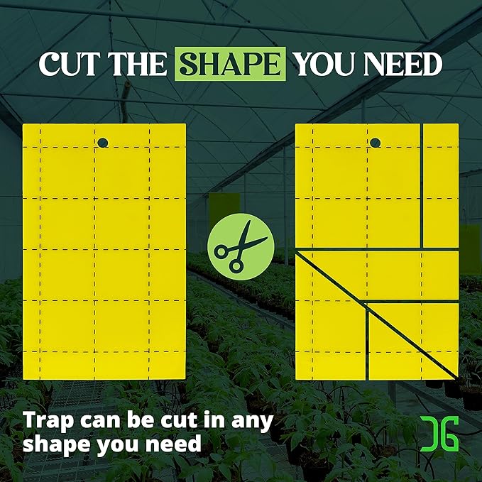 Catchmaster GRO Yellow Regular Double Sided Sticky Traps 72PK, Adhesive Bug & Fruit Fly Trap, Pest Control for Home, Farm, Garden, Hydroponics & Greenhouse, Protect Live Plants Indoor & Outdoor