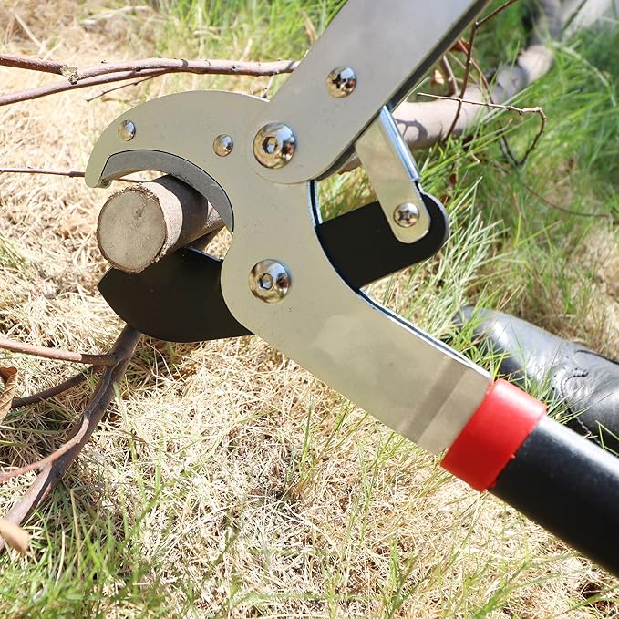 GARTOL Heavy-Duty Anvil Lopper, 29" Tree Pruning Shears, with a Spare SK5 Steel Blade, Compound Action for Effortless Cutting 2″ Branch, Ergonomic Non-Slip Handles, Durable Garden Branch Cutter