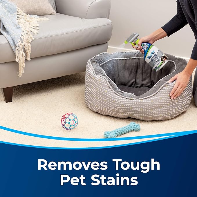 Woolite Advanced Pet Stain & Odor Remover + Sanitize, 11521 (22fl oz)