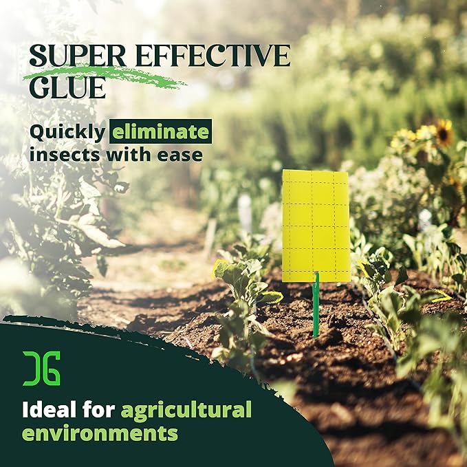 Catchmaster GRO Yellow Regular Double Sided Sticky Traps 72PK, Adhesive Bug & Fruit Fly Trap, Pest Control for Home, Farm, Garden, Hydroponics & Greenhouse, Protect Live Plants Indoor & Outdoor