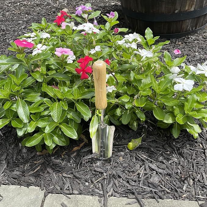 Garden Guru Eco Transplanter Trowel Shovel- 100% Recycled Stainless Steel - Rust Resistant - FSC Certified Wood Ergonomic Handle - Perfect Tool for Gardening Transplanting & Digging - 1 Case (40 Pcs)