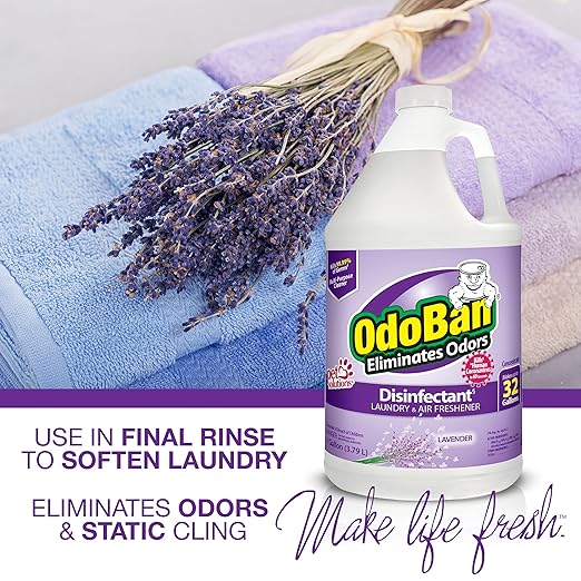 OdoBan Disinfectant Concentrate and Odor Eliminator, Made in the USA, Lavender Scent, 1 Gallon