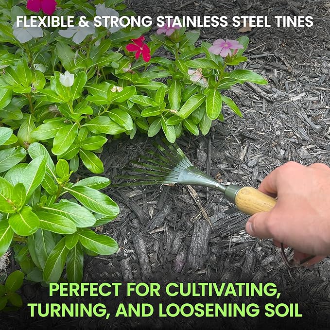 Garden Guru Eco Hand Rake Soil Tiller- 100% Recycled Stainless Steel - Rust Resistant - FSC Certified Wood Ergonomic Handle - Great for Gardening Cultivating Loosening Soil & Spreading Mulch (2 Pack)