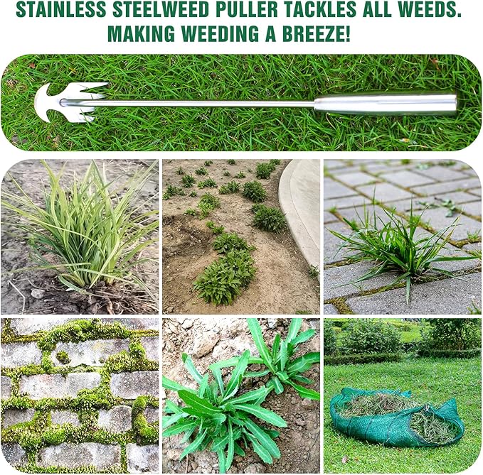 Weeder Tool, 2025 New Portable Weeder Tool with Stainless Steel, Garden Tool for Planting and Weeding, Crack Weeder Tool, Weed Discharge Tool for Farms and Backyards