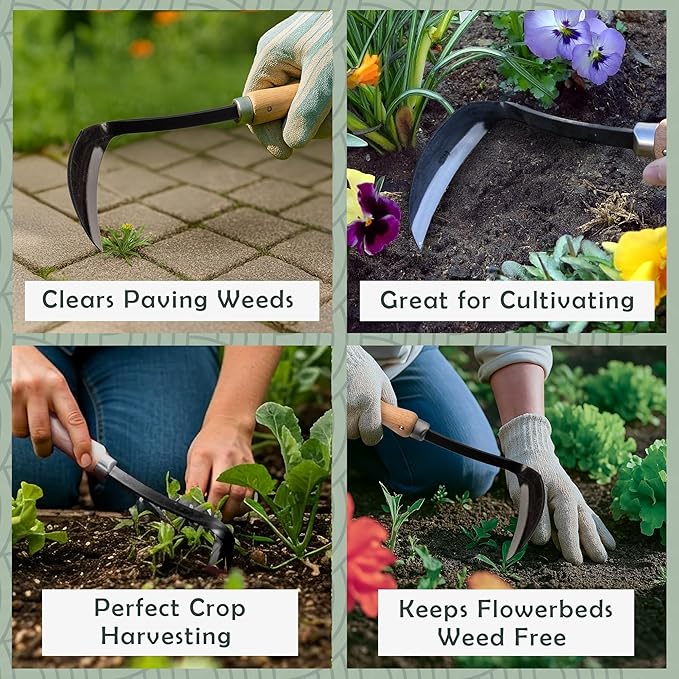 Muldale Japanese Hand Weeding Sickle – Curved Razor Hoe Garden Tool with High-Carbon Steel Blade & Ergonomic Beechwood Handle – Perfect for Weeding Between Plants, Paving, Borders