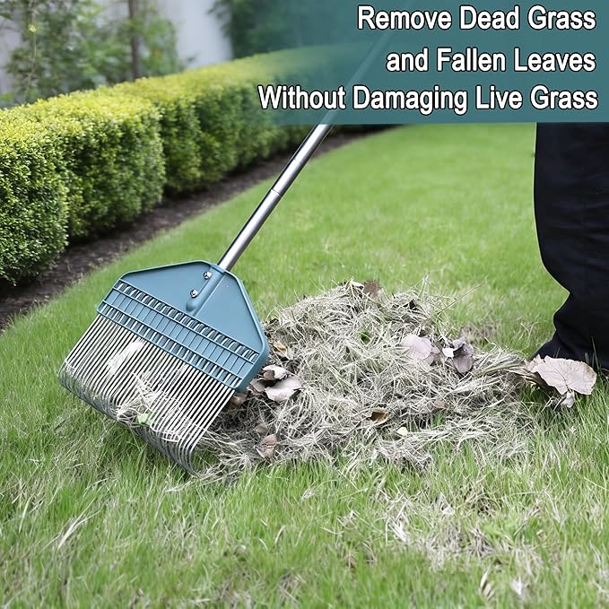 Thatch Rake 66-Inch Adjustable Handle Dethatcher Rake,17-Inch Wide Leaf Rakes, Suitable for Gardens, Yards, Lawns, Used for Cleaning Dead Grass, Thatch, Leaves, Pine Needles, Branches