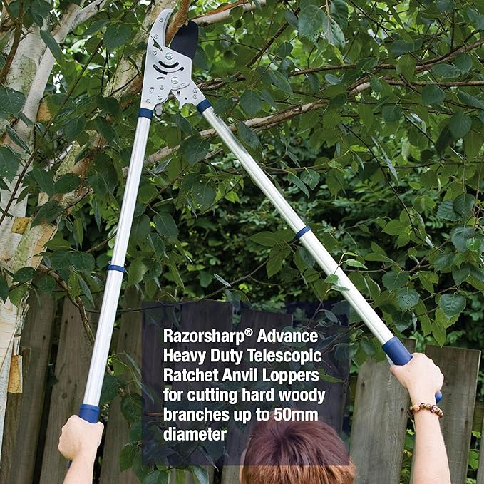 Spear & Jackson 8290RS Razorsharp Heavy Duty Telescopic Ratchet Anvil Loppers, Extendable 40 1/2" Handles, Ideal for Cutting Thick Hard To Reach Branches, Powerful Ratcheting Mechanism