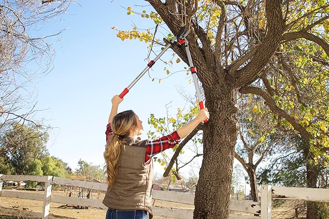 Corona Tools | Branch Cutter DualLINK Extendable Bypass Loppers | Tree Trimmer Cuts Branches up to 1 ¾-inches in Diameter | Handles Extend up to 37 ½inches | SL 4364, Silver