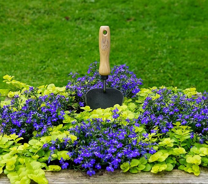 Dewit Potting Trowel – Heavy Duty Garden Hand Tool with Extra-Large Curved Blade | Tempered Boron Steel | Ash Wood Handle | 11" Length