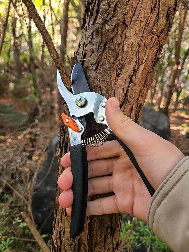 Saboten Japanese Bypass Pruning Shears 7.9 in, Fluorine-Coated Blade Wipes Clean, Rust & Sap Resistant, Ergonomic Non-Slip Grip, Duracon Safety Lock, 20mm Cut Capacity, Made in Japan Garden Clippers