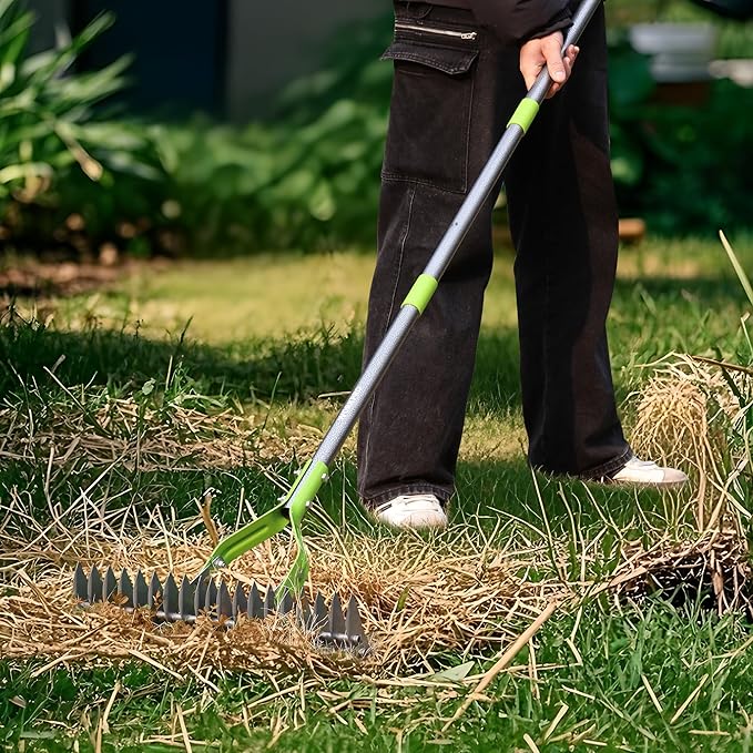 WORKPRO Thatch Rake, 15-Inch Thatching Rake for Lawns, Heavy Duty Dethatcher Rakes with 5FT Handle, Dethatching Rakes with Adjustable Head for Removing Dead Grass and Clippings, Loosening Soil