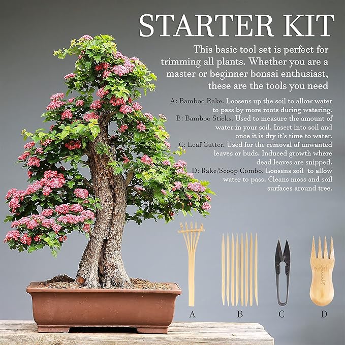 BambooMN Bonsai Tree Pruning Trimming Starter Tool Kit - Leaf Trimmers, and Bamboo Rake - 1 Set