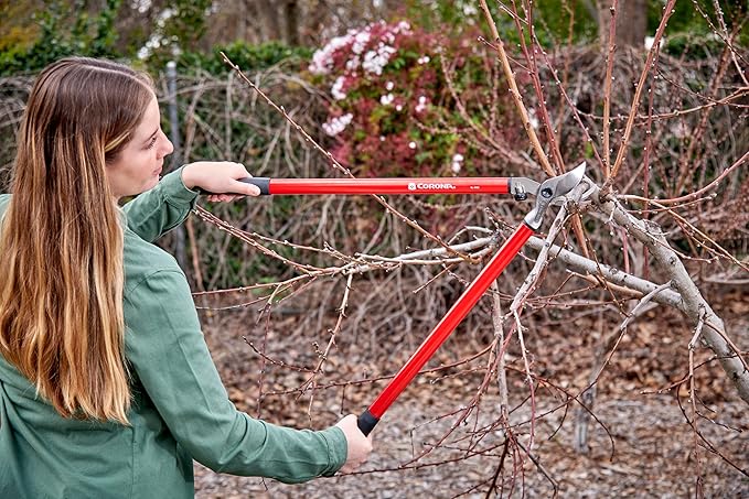 Corona SL 4150 Bypass Lopper, 29-Inch