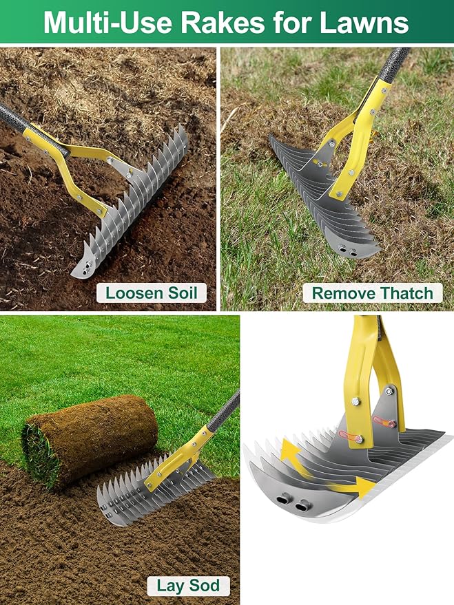 Thatch Rake, 2-in-1 Lawns Manual Dethatcher with Adjustable Head, 55" Heavy Duty Metal Dethatching Rake Garden Tools, 19-Tooth Sharp Blade for Yard Dead Grass, Moss Removal, Soil Loosening