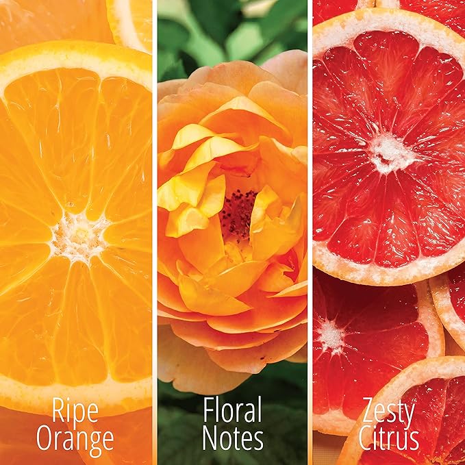 KIFRA ORANGE Concentrated Laundry Fragrance 6.76 Fl Oz 200ml 80 Washing Cycles