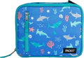 PackIt Freezable Classic Lunch Box, Sea Shark, Built with EcoFreeze Technology, Collapsible, Reusable, Zip Closure With Zip Front Pocket and Buckle Handle, Designed for Fresh Lunch On the Go