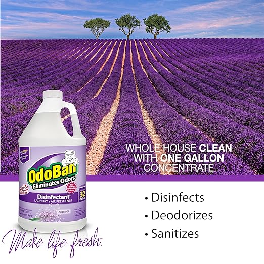 OdoBan Disinfectant Concentrate and Odor Eliminator, Made in the USA, Lavender Scent, 1 Gallon