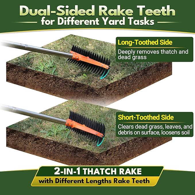 Thatch Rake for Lawns 18 Sharp Tempered Spring Steel Tines Dethatcher Rake Heavy Duty Dethatching Rakes with 62.5" Adjustable Stainless Steel Handle for Lawn Care，Dead Grass, Garden, Yard