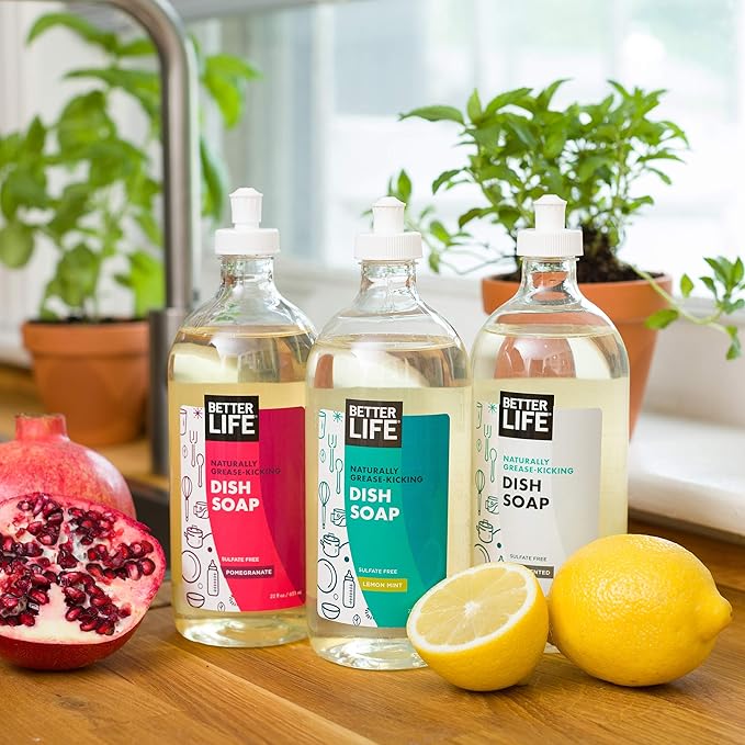 Better Life Dish Soap - Liquid Dishwashing Soap with Vitamin E and Aloe for Home & Kitchen Sink - No Gloves Required Kitchen Soap for Sensitive Skin - 22oz (Pack of 2) Currant and Citrus
