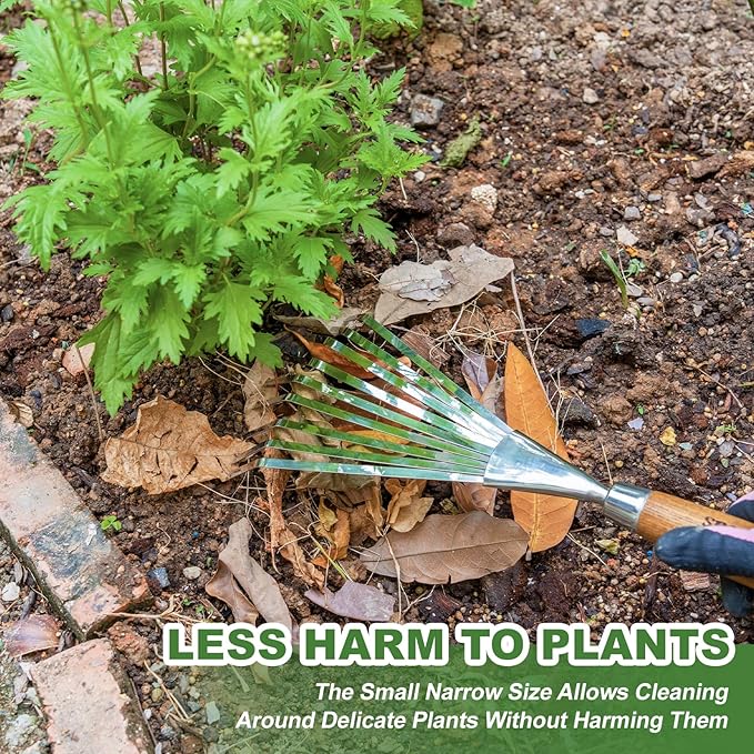 Haliaeetus Garden Hand Rake, 14.6'' Small Rake for Tight Areas, 9 Tines Stainless Steel Garden Rake with Ergonomic Wood Handle for Clearing Leaves and Loose Debris in Flower Bed and Around Plants