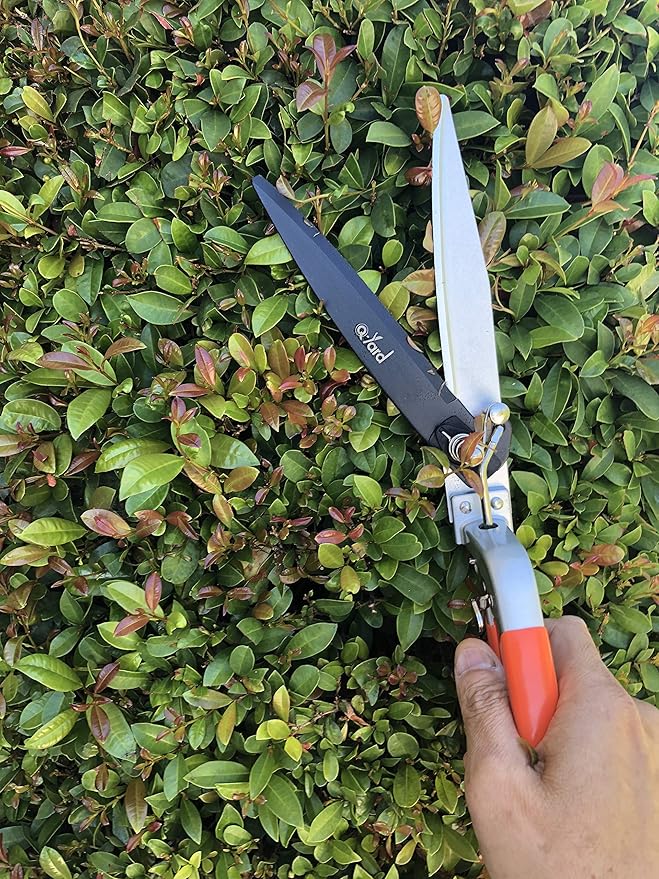 QY-741F Flower Bed and Grass Shear - Extra Sharp Garden Hand Pruners, Easier Cutting, Comfortable Ergonomic, Less Effort - Gardening Scissors for Men & Women , Orange