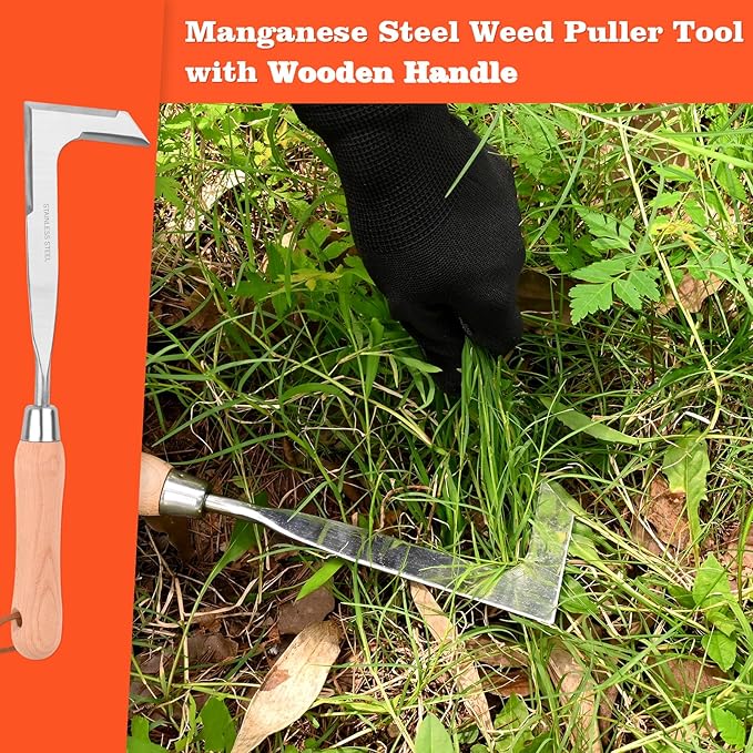 3-Sided Crevice Weeder - 12.6" Stainless Steel Garden Weeding Tool with Beech Handle, L-Shaped Crevice Weeder Sickle for Garden Lawn, Yard Patio Terrace, Paving Gaps