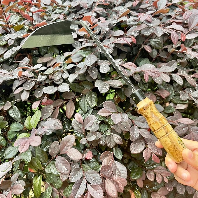 alanx 12 Inch Japanese Gardening Hand Weeding Sickle, Weeding Hoe with Long Wooden Handle