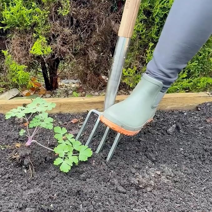 Spear & Jackson Traditional Stainless Steel Border Fork, Durable Heavy Duty Garden Tool, Ideal for Aerating Weeding and Digging, Comfortable Wooden Handle