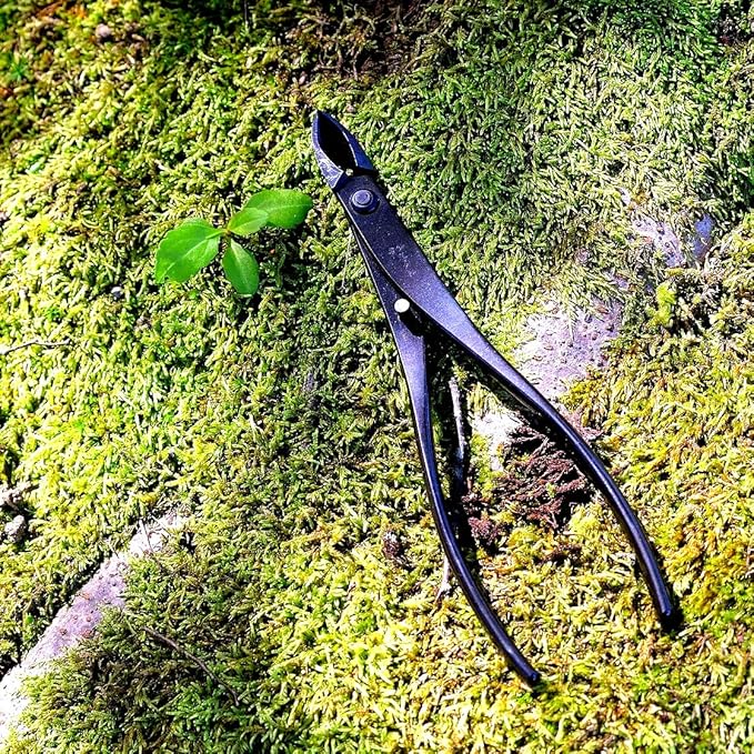 KAKURI Bonsai Concave Branch Cutter 7" (180 mm) Professional Bonsai Tool, Japanese Carbon Steel, Round Curved Blade, Black, Made in JAPAN