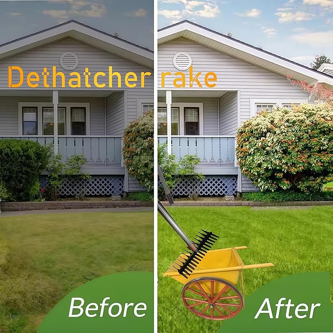 15" Heavy Duty Thatch Rake - Different Two-Row 29 Tines Metal Dethatcher with Strong Adjustable Handle for Lawn Yard Leaf Weed Removal & Soil Loosening