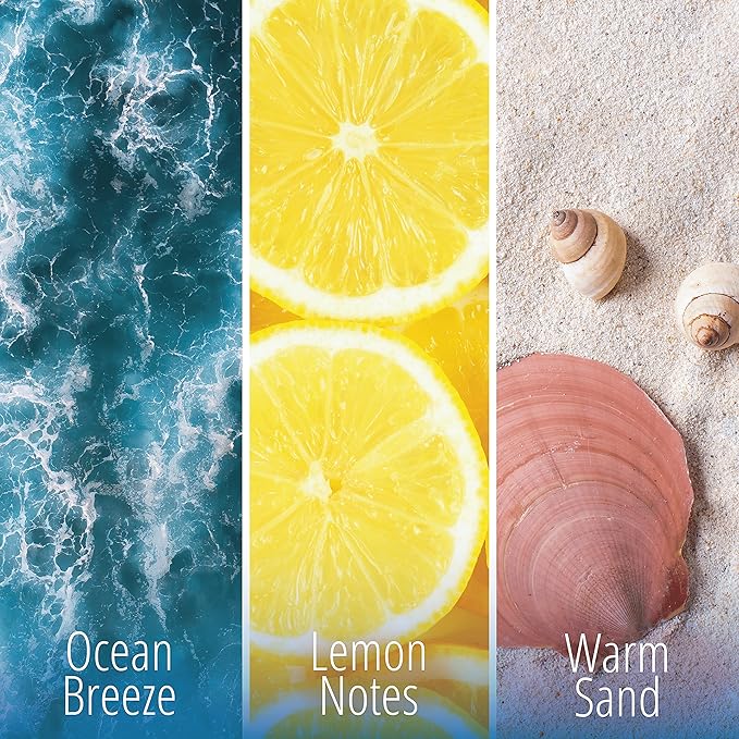 KIFRA OCEAN Concentrated Laundry Fragrance 6.76 Fl Oz 200ml 80 Washing Cycles